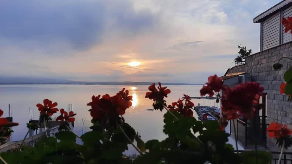 Orion Guest House Σωζόπολη Εξωτερικό φωτογραφία